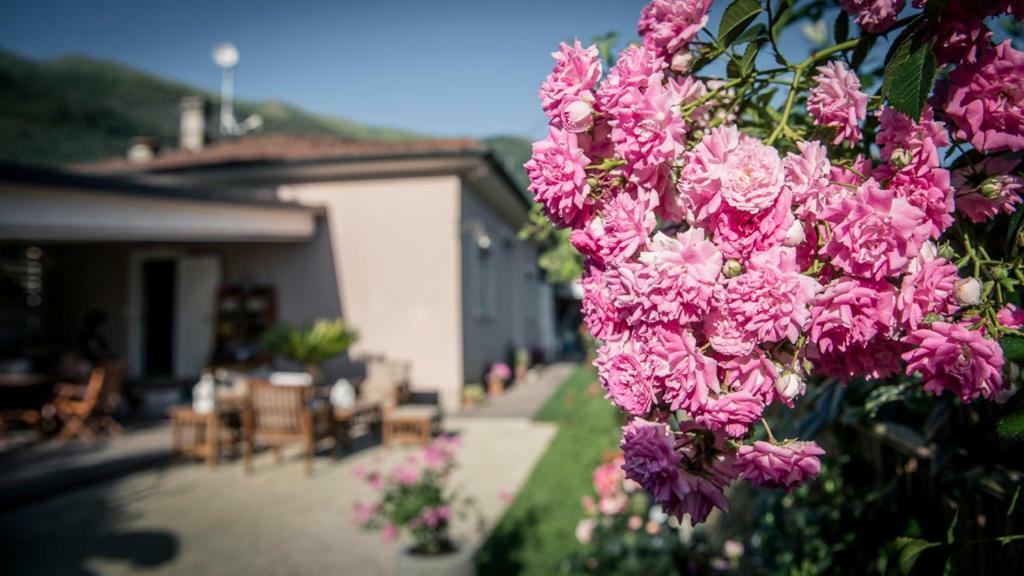 Вілла Casa Vittoria Камайоре Екстер'єр фото